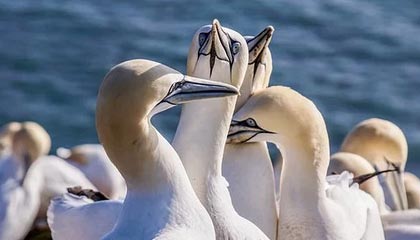 德媒:特尔施特根因伤退出巴萨沙特训练营|巴塞罗那|德国|半决赛|西班牙超级杯|毕尔巴鄂竞技_新浪体育_新浪新闻